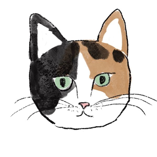 三毛ねこ