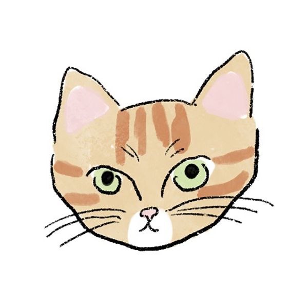 トラねこ