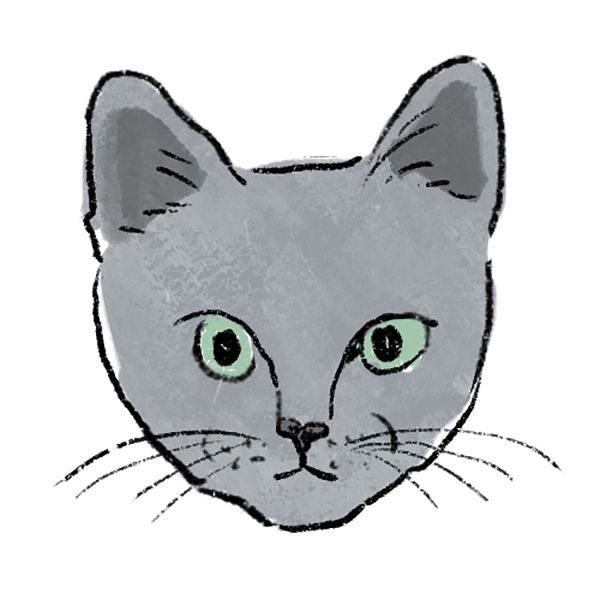 青ねこ