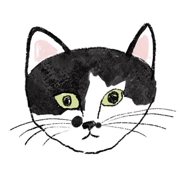 ブチねこ