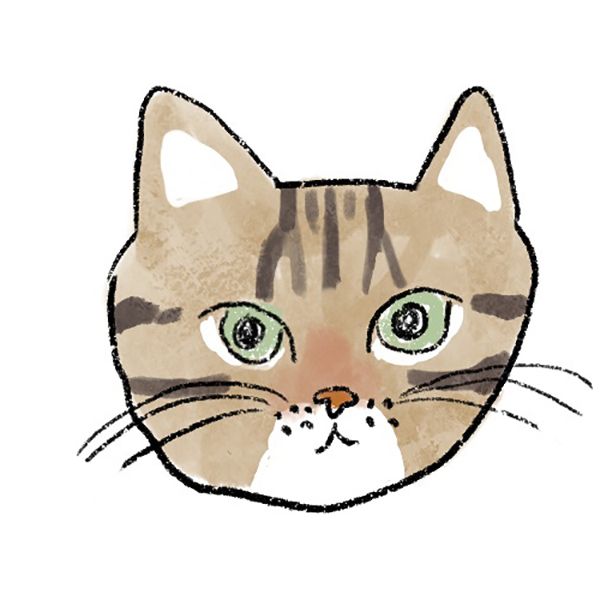 キジねこ