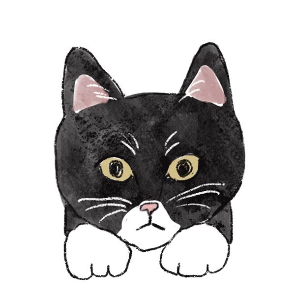 タビねこ