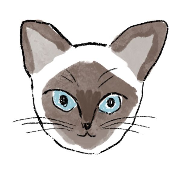 シャムねこ