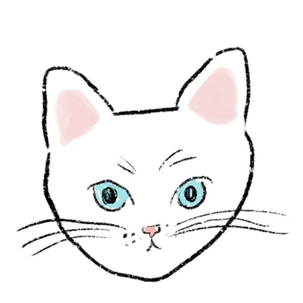 白ねこ