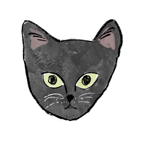 黒ねこ
