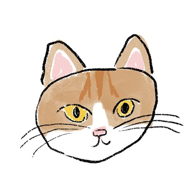 茶白ねこ