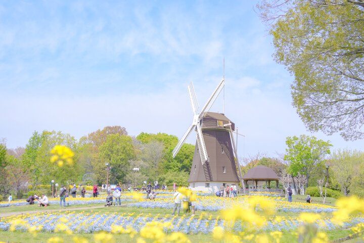 大阪市内で最も広い都市公園♪ 季節の花に囲まれる「花博記念公園 鶴見緑地」