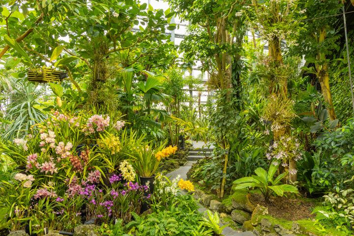 大阪市内で最も広い都市公園♪ 季節の花に囲まれる「花博記念公園 鶴見緑地」