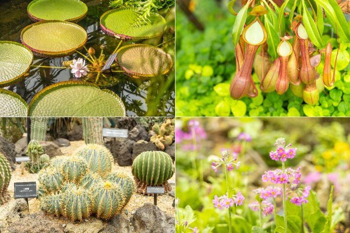 大阪市内で最も広い都市公園♪ 季節の花に囲まれる「花博記念公園 鶴見緑地」