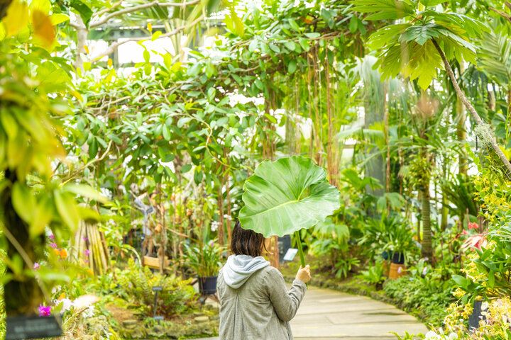 大阪市内で最も広い都市公園♪ 季節の花に囲まれる「花博記念公園 鶴見緑地」