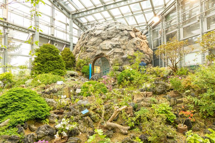大阪市内で最も広い都市公園♪ 季節の花に囲まれる「花博記念公園 鶴見緑地」