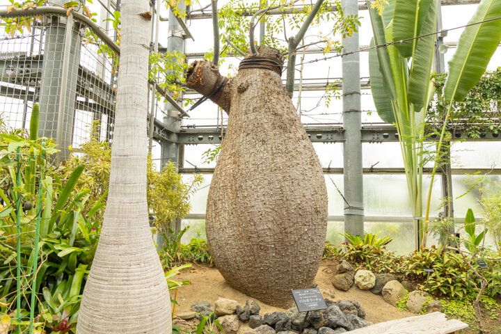 大阪市内で最も広い都市公園♪ 季節の花に囲まれる「花博記念公園 鶴見緑地」