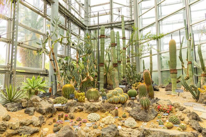 大阪市内で最も広い都市公園♪ 季節の花に囲まれる「花博記念公園 鶴見緑地」