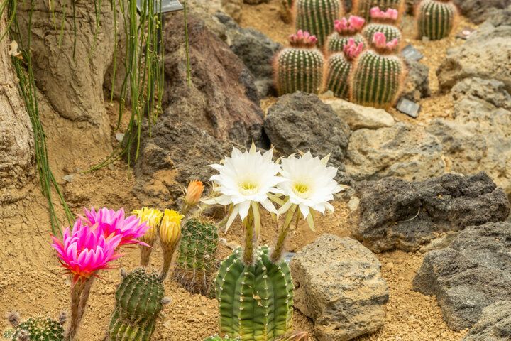 大阪市内で最も広い都市公園♪ 季節の花に囲まれる「花博記念公園 鶴見緑地」