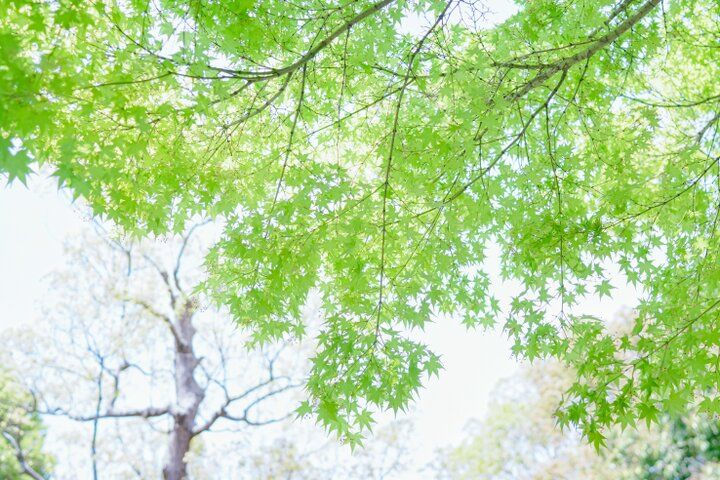 大阪市内で最も広い都市公園♪ 季節の花に囲まれる「花博記念公園 鶴見緑地」