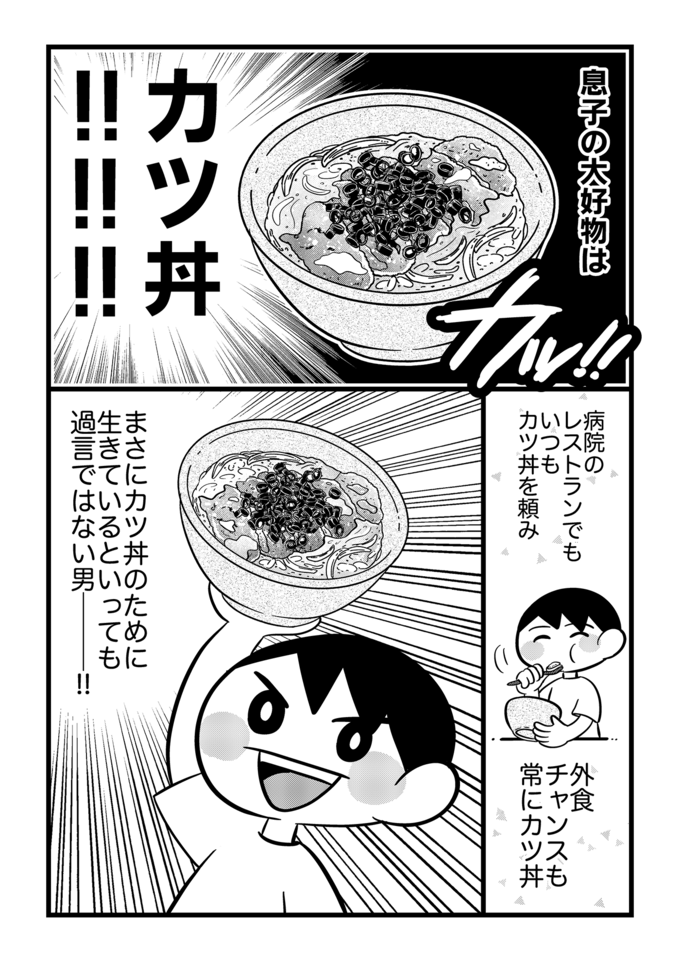 親子丼の素でカツ丼作れるの!?不登校息子の大好物を簡単＆激ウマレシピで作ったら人生の経験値UP‼【不登校息子のおひるごはん43】の画像1