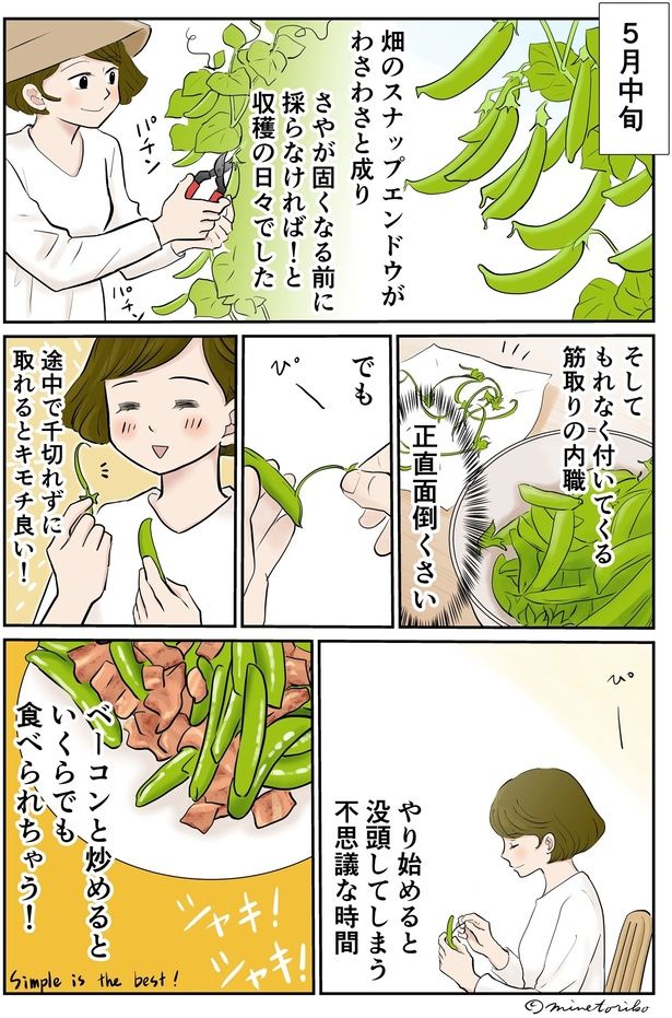 ベーコンで炒めるといくらでも食べられちゃう！ （C）峯鳥子