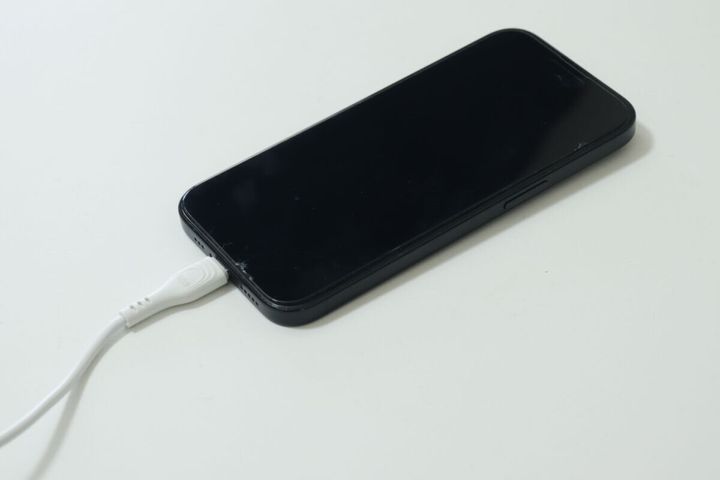 ダイソーのPD対応超速充電 TYPE-Cケーブル60W（2m）使用例