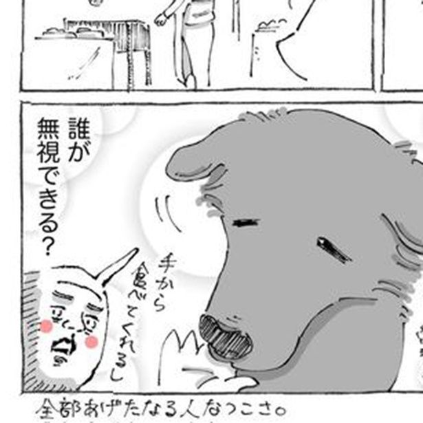 おいしそうな串焼きなのに「全部は食べられない」？やってきたかわいすぎる“常習犯”に納得 五箇野人(@gokayajin)