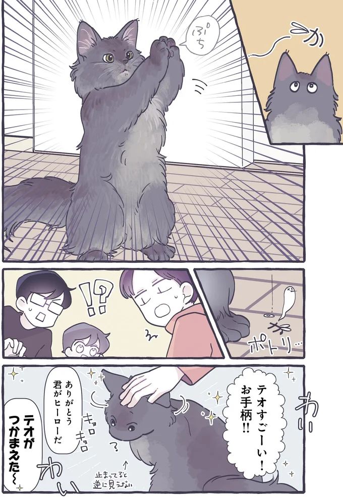 582.webp