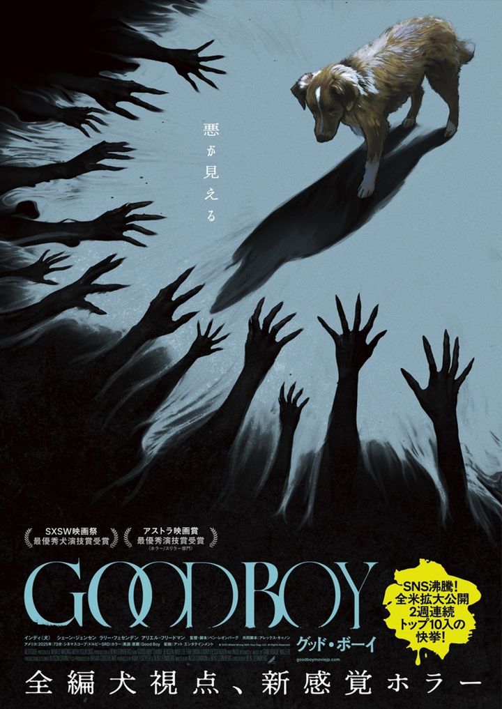 映画『GOOD BOY／グッド・ボーイ』ポスター （C）2025 Whats Wrong With Your Dog, LLC. All Rights Reserved. width=