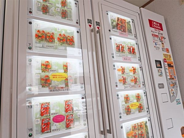 【山口県山口市】24時間新鮮ないちごを買える冷蔵ロッカー型「いちご自動販売機」がベリーろーどに登場