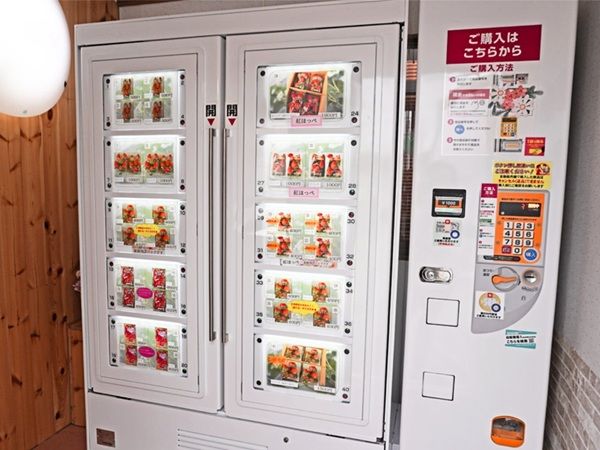 【山口県山口市】24時間新鮮ないちごを買える冷蔵ロッカー型「いちご自動販売機」がベリーろーどに登場