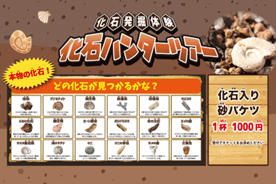 ダイナソーアドベンチャーツアー 化石発掘体験