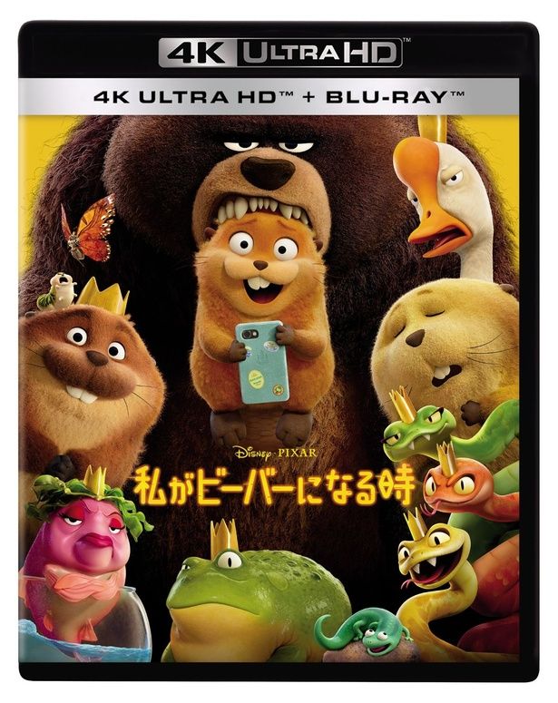 【写真を見る】『私がビーバーになる時』4K UHD+ブルーレイ セットは7月22日(水)に発売される [c]2026 Disney/Pixar