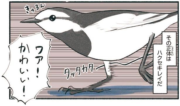 ワァ！かわいい！ （C）piro piro piccolo／KADOKAWA
