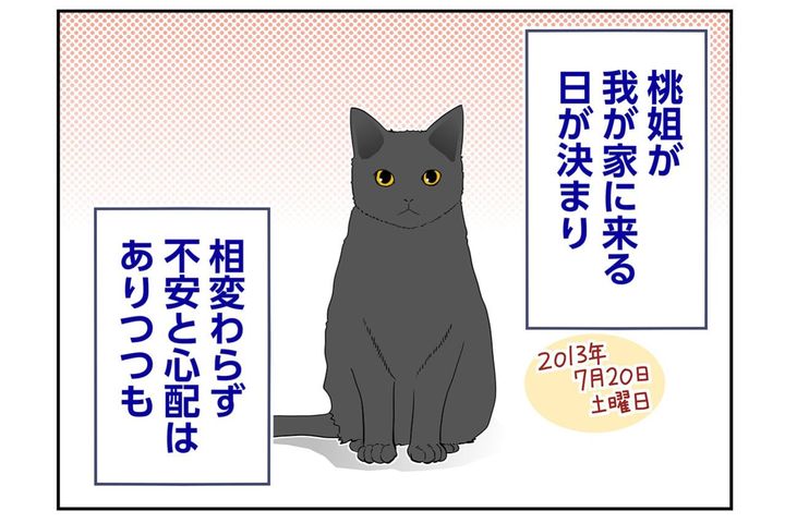 【マンガ・老猫日誌＃75】桃姐をお迎えする前日〜思い出の老猫日誌・桃姐と小論