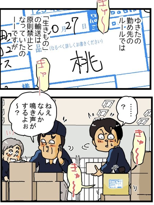  品名に「桃」と書かれているが…？ 画像提供：ゆきたこーすけさん(@kosukeyukita)