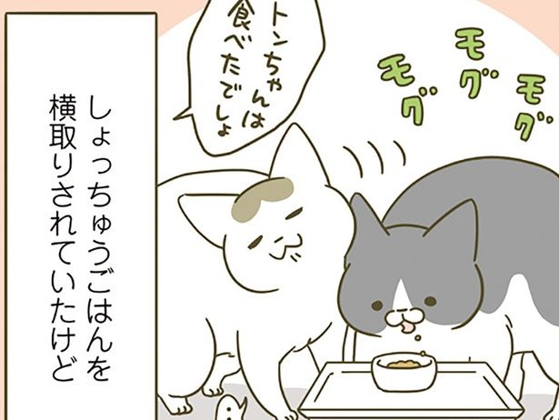 横取りされていたけれど… （C）卵山玉子／KADOKAWA