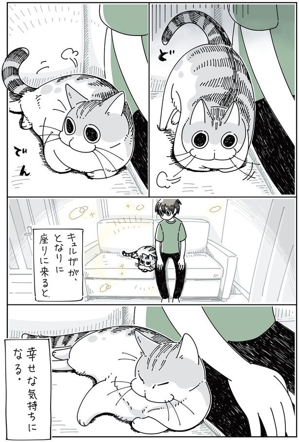 幸せな気持ちになる。 （C）キュルZ／KADOKAWA