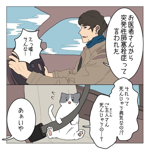 難病にかかったことを妻に話す夫だが…!?『100日後に死ぬ難病の夫と100日後にひとりぼっちになる猫』1-1 画像提供：家事しないと死ぬ旦那さん