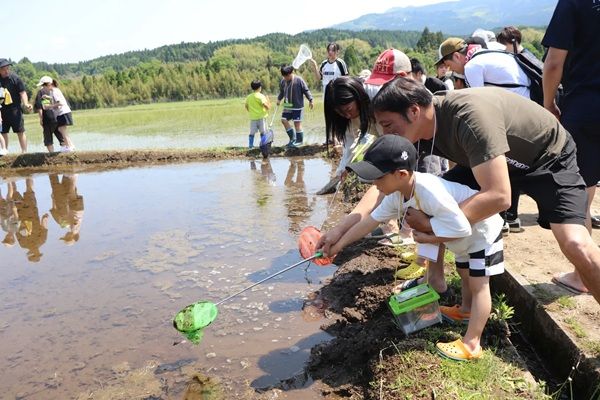 【熊本県南阿蘇村】プレミアムウォーターが、田植え体験イベントを開催！工場見学や BBQなども実施