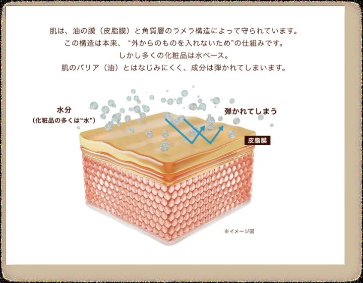 肌の皮脂膜と角質層のラメラ構造を示す断面図で、水ベース化粧品の成分が皮脂膜に弾かれる仕組みをイラストで解説した技術説明図
