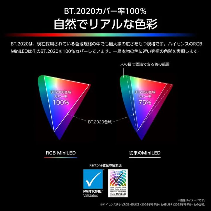 ハイセンスRGB MiniLEDのBT.2020色域カバー率100%を説明する図解。従来MiniLED（75%）との色域三角形の比較とPantone認証ロゴを掲載した技術訴求画像