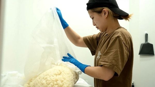 【茨城県土浦市】創業78年の佐藤酒店が「土浦醸造」を開業し初仕込み酒を限定販売！酒蔵見学も可能