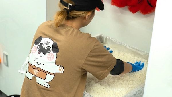 【茨城県土浦市】創業78年の佐藤酒店が「土浦醸造」を開業し初仕込み酒を限定販売！酒蔵見学も可能