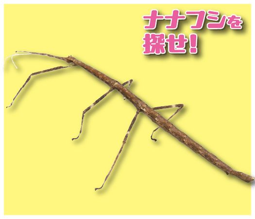 【愛知県名古屋市】個性豊かな昆虫に会えるチャンス「第2回 夏休み！ふれあい昆虫ランド」今夏開催