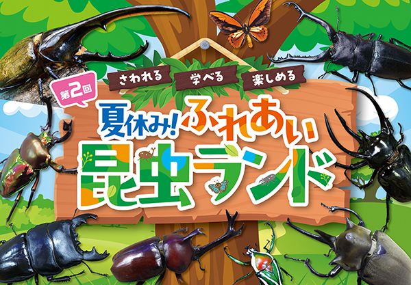 【愛知県名古屋市】個性豊かな昆虫に会えるチャンス「第2回 夏休み！ふれあい昆虫ランド」今夏開催