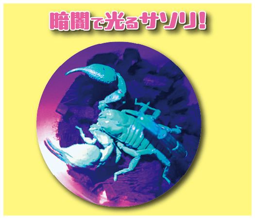 【愛知県名古屋市】個性豊かな昆虫に会えるチャンス「第2回 夏休み！ふれあい昆虫ランド」今夏開催