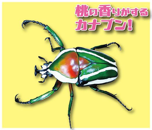 【愛知県名古屋市】個性豊かな昆虫に会えるチャンス「第2回 夏休み！ふれあい昆虫ランド」今夏開催