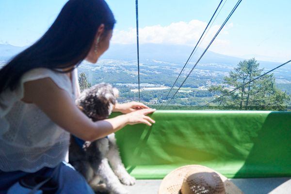 【長野県富士見町】富士見パノラマリゾートで、春の高原を五感で楽しむ「120万本のすずらん祭り」開催！