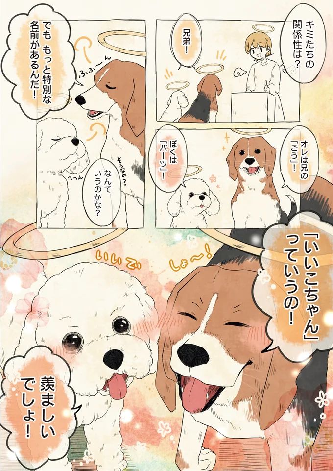 01-02.webp