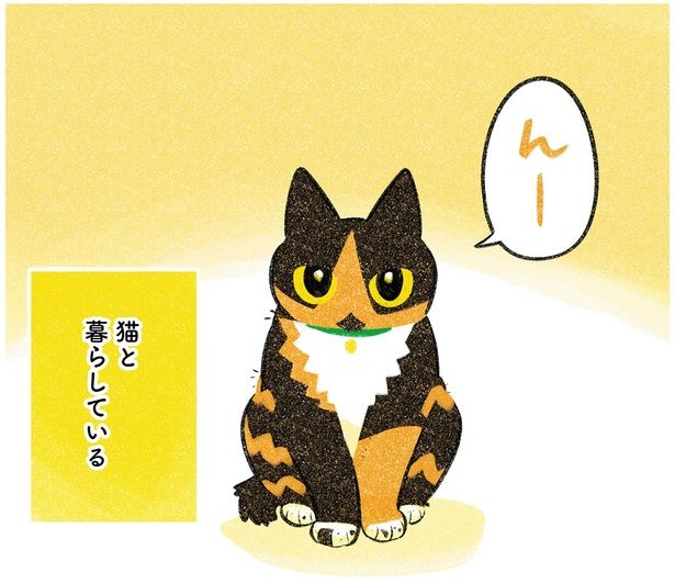 猫と暮らしている （C）ふじひと／KADOKAWA