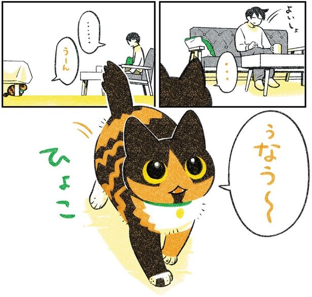 ひょこ （C）ふじひと／KADOKAWA
