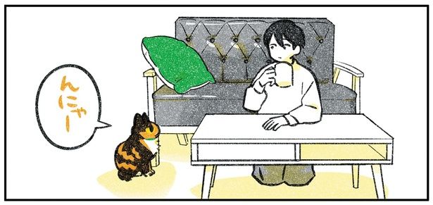 んにゃー （C）ふじひと／KADOKAWA