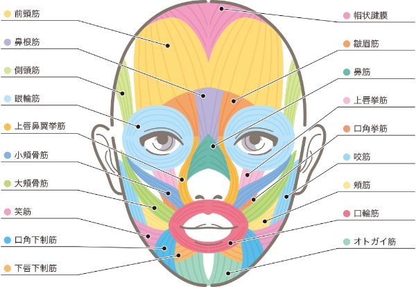 表情筋は鍛えない方がいい？使わないでいるとどうなる？